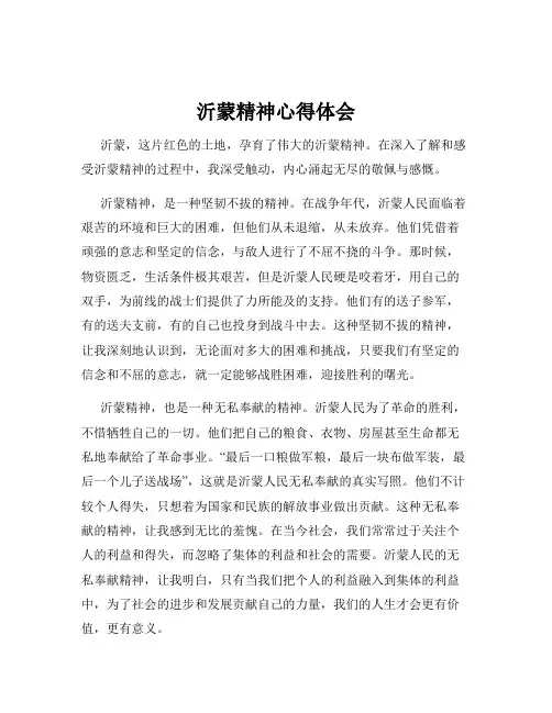 沂蒙精神心得体会