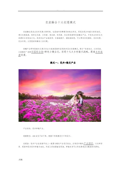 农旅融合十大创意模式