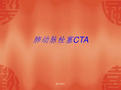 肺动脉栓塞CTAPPT课件