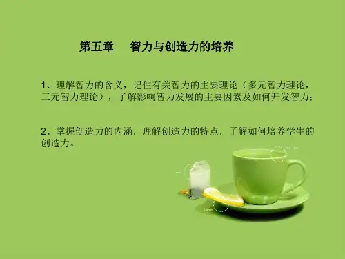 第五章 智力与创造力的培养