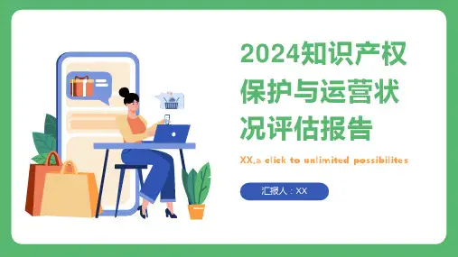 2024知识产权保护与运营状况评估报告