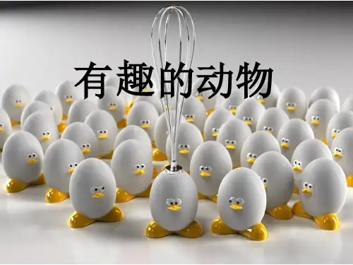 有趣的动物一课时