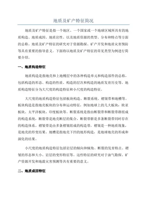 地质及矿产特征简况