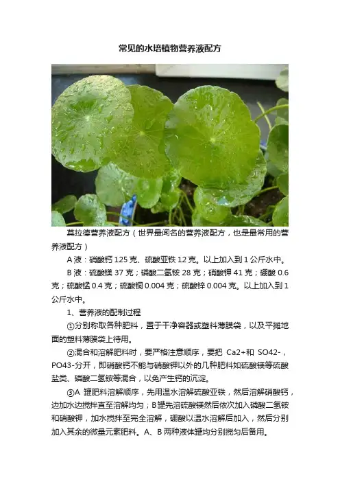 常见的水培植物营养液配方