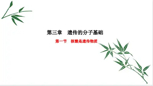 2022-2023学年浙科版(2019)必修二  3-1 核酸是遗传物质   课件(37张)