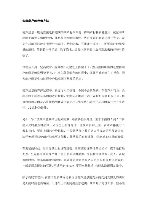 盆栽葫芦的养殖方法