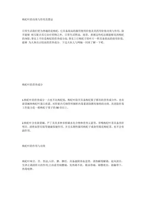 枸杞叶的功效与作用及禁忌