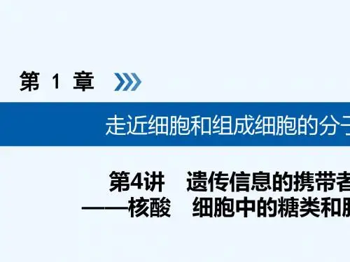 2019版高考生物大一轮复习 第4讲 遗传信息的携带者优选
