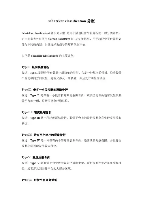 schatzker classification分型