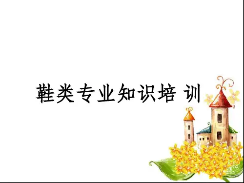 鞋类基本知识ppt课件