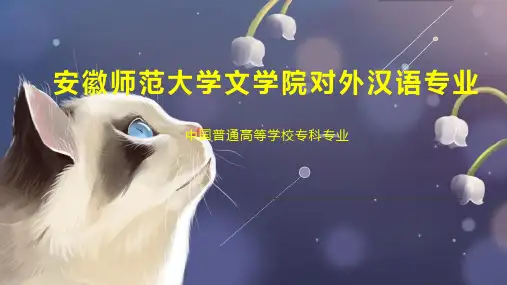 安徽师范大学文学院对外汉语专业