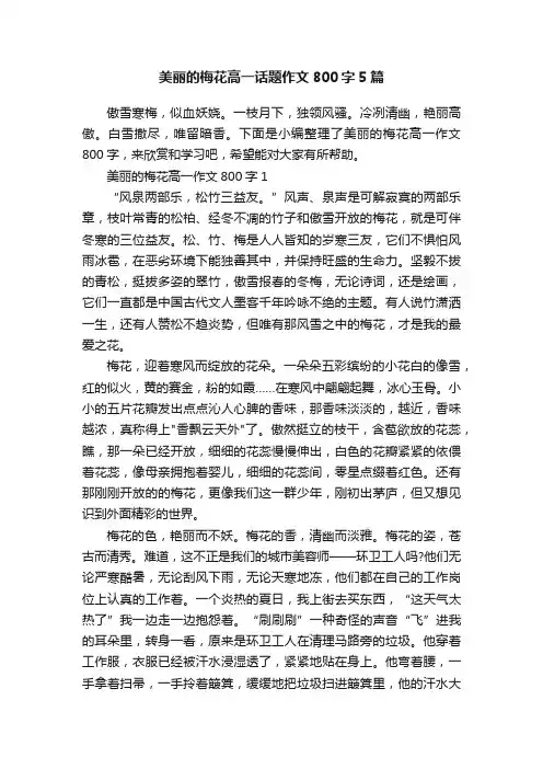 美丽的梅花高一话题作文800字5篇