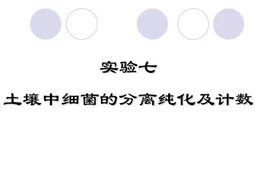 微生物学 实验7 土壤中细菌的分离纯化及计数