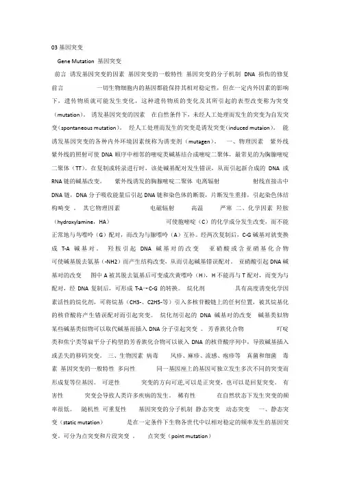 医学遗传学课件_t03基因突变