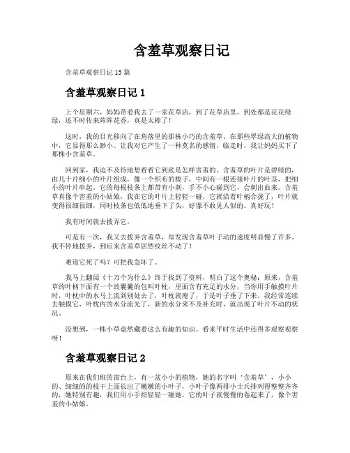 含羞草观察日记 2