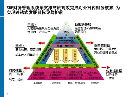 航空业SAP财务系统解决方案