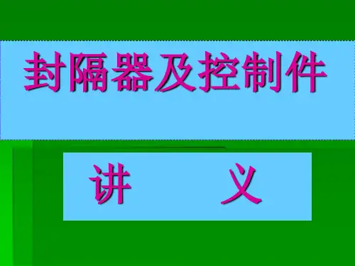 封隔器及控制件解剖