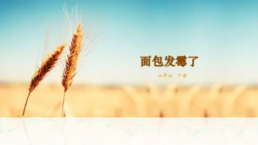 面包发霉了ppt课件
