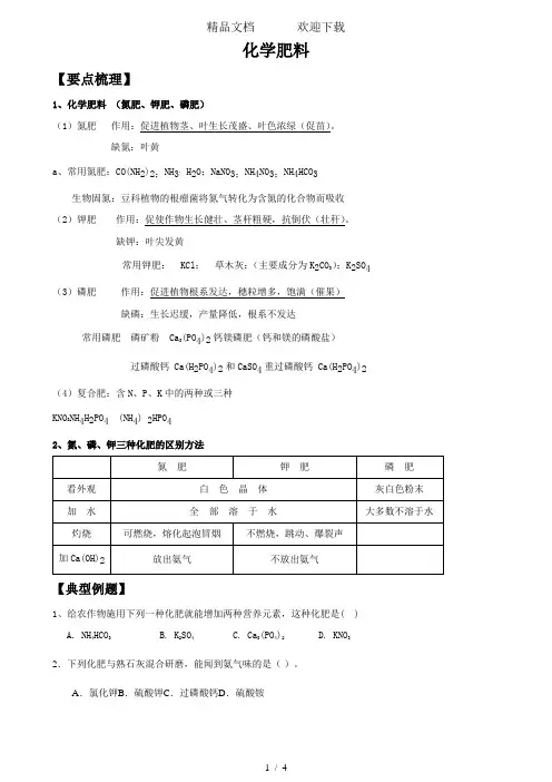 人教版九年级化学下册第十一单元课题2复习：化学肥料(无答案)