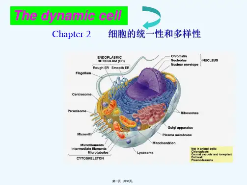 细胞的统一性和多样性