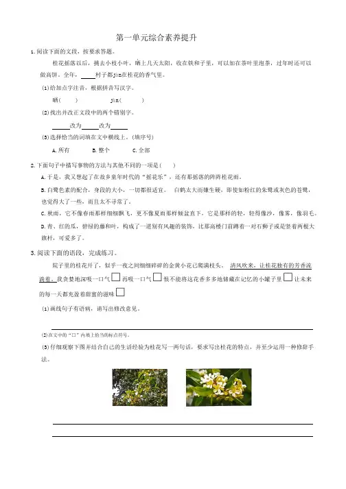 第一单元综合素养提升(单元测试)统编版语文五年级上册