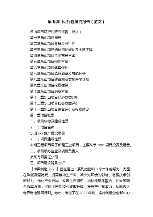 乐山项目可行性研究报告（范文）