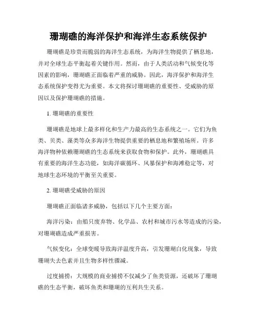 珊瑚礁的海洋保护和海洋生态系统保护