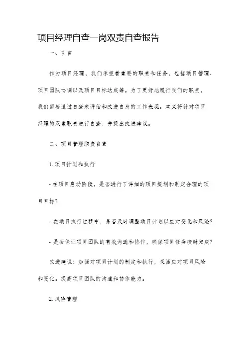 项目经理自查一岗双责自查报告