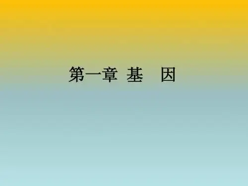 分子遗传学第二章 基因