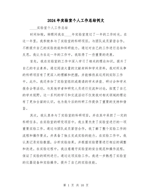 2024年实验室个人工作总结例文(4篇)