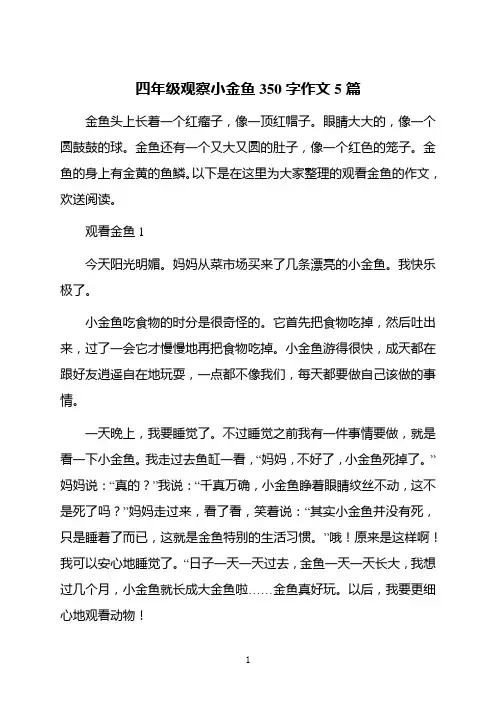 四年级观察小金鱼350字作文5篇