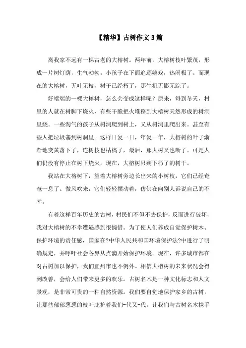 古树作文3篇(1)精选