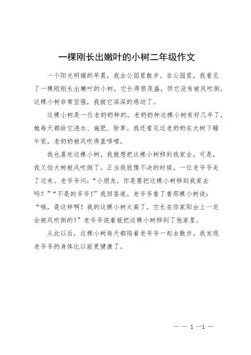 一棵刚长出嫩叶的小树二年级作文