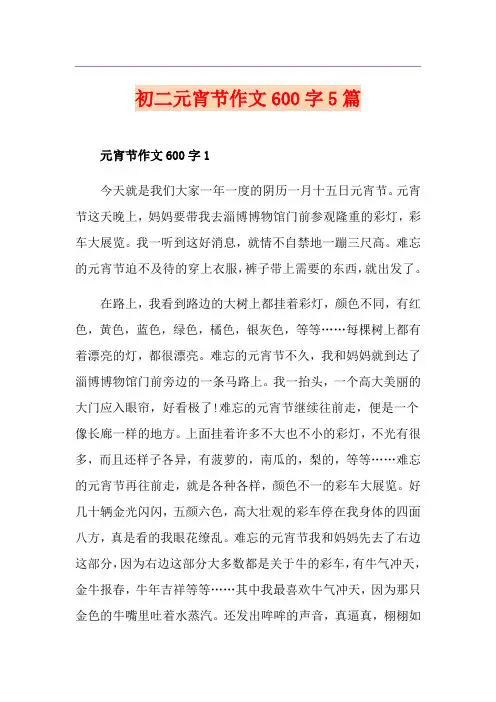 初二元宵节作文600字5篇
