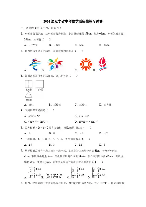 2024届辽宁省中考数学适应性练习试卷(含答案)
