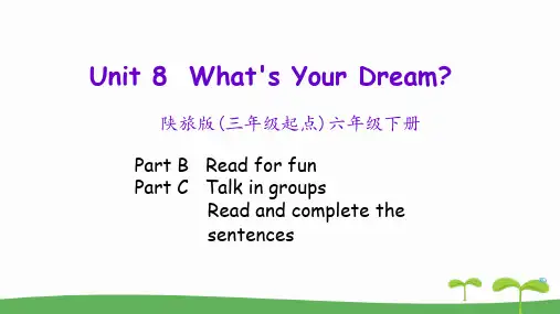2018~2019学年陕旅版六年级下册英语 Unit 8 What’s Your Dream第四课时课件