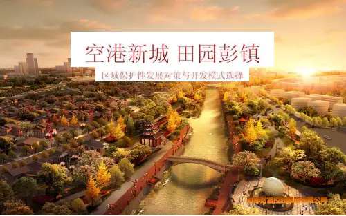成都双流彭镇概念性规划