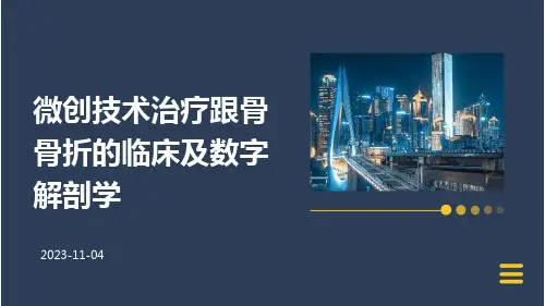 微创技术治疗跟骨骨折的临床及数字解剖学