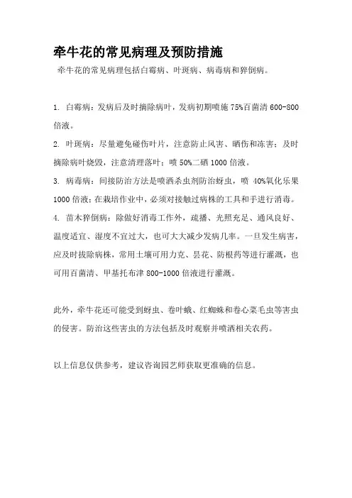 牵牛花的常见病理及预防措施