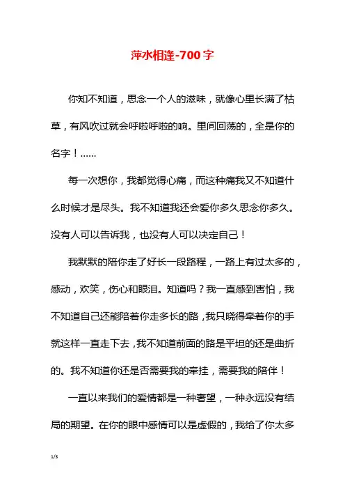 萍水相逢-700字初三作文叙事