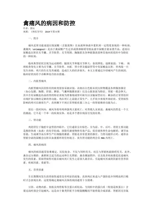 禽痛风的病因和防控
