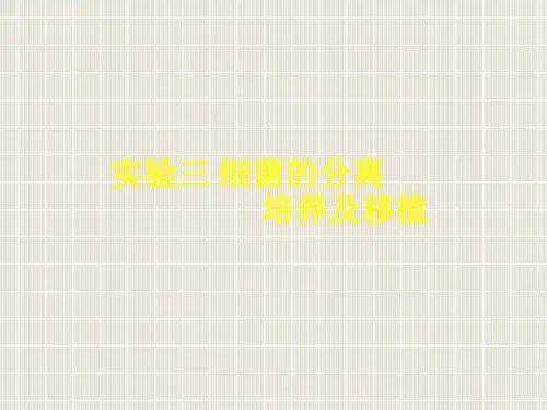实验三细菌的分离培养及移植