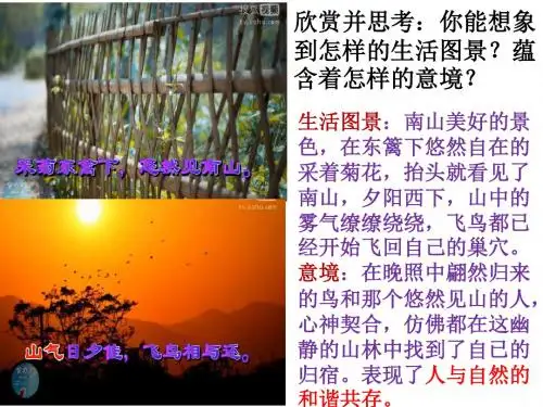 人教版《道德与法治》九年级上册 6.2 共筑生命家园 课件(共19张PPT)