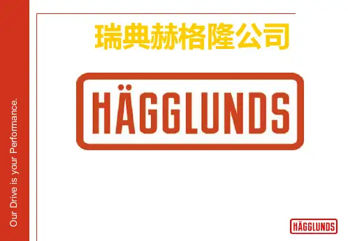 赫格隆 标准培训文件