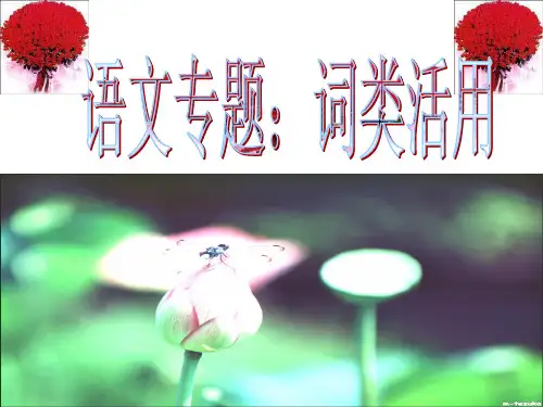 词类活用——形容词、动词、数词