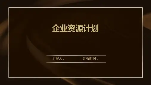 企业资源计划