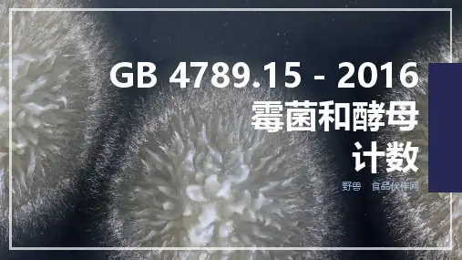 图解GB 4789.15霉菌和酵母计数