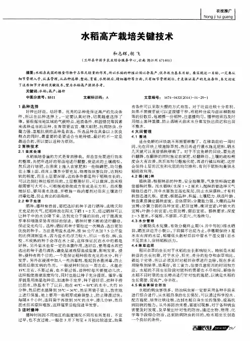 水稻高产栽培关键技术