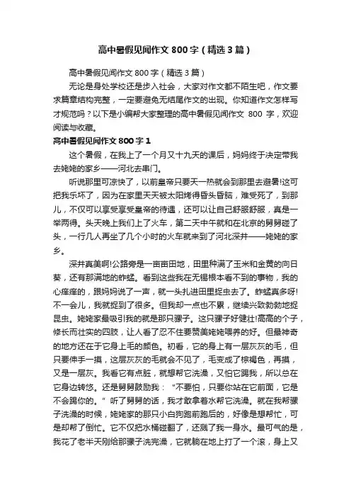 高中暑假见闻作文800字（精选3篇）