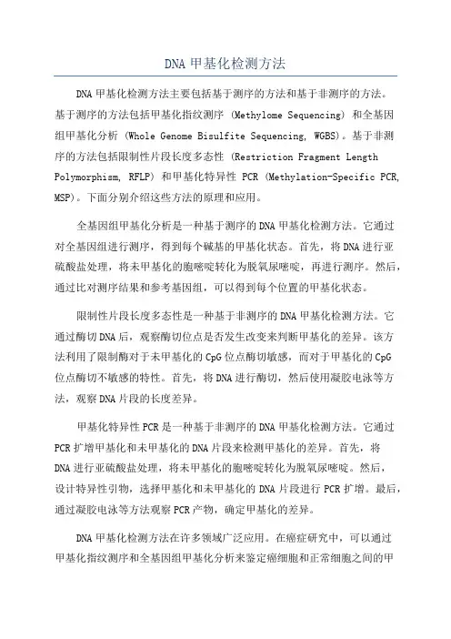 DNA甲基化检测方法